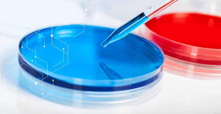 agar2028229-2