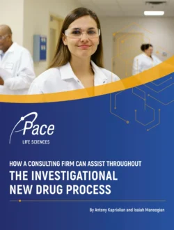 Whitepaper-How-a-consulting-firm-can-assist-throughout-the-Investigational-New-Drug-process.webp