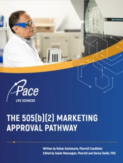 Whitepaper-The-505b2-Marketing-Aproval-Pathway.webp