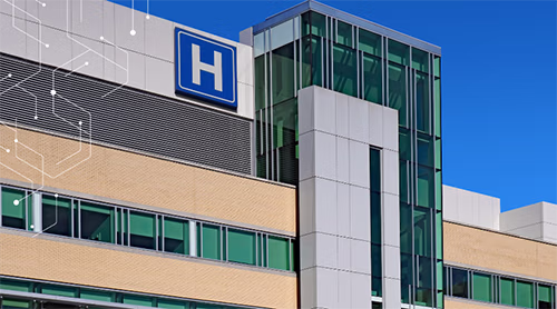 Top 4 High-Risk Molds in Healthcare Facilities and How to Address Them